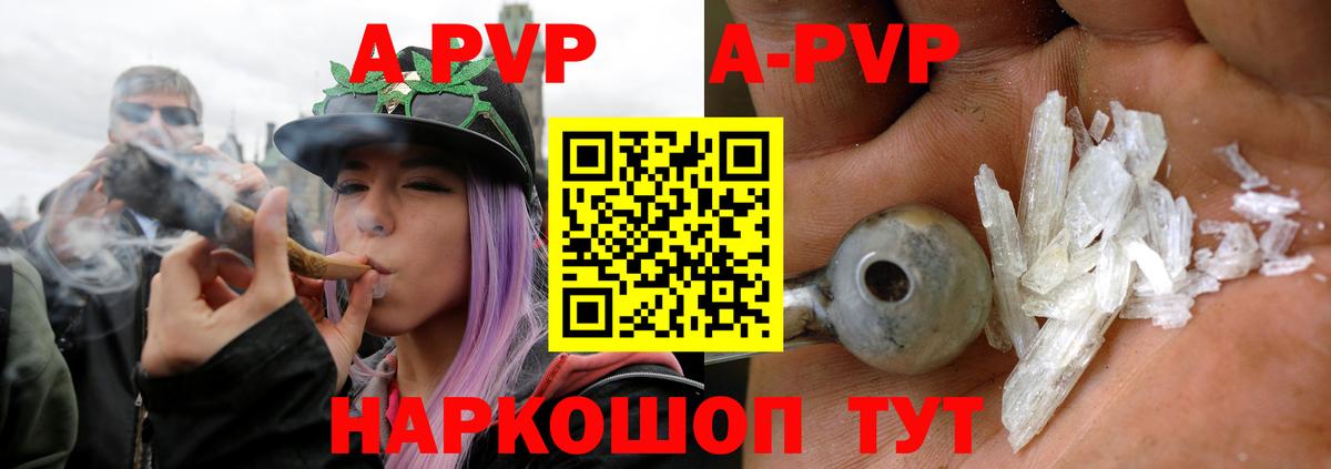 A PVP СК Богородицк