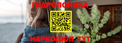 скорость Аша