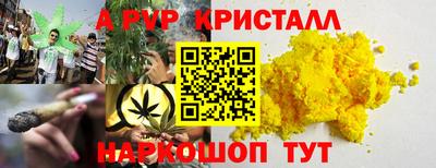 эйфоретик Ачхой-Мартан