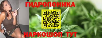 скорость Аша